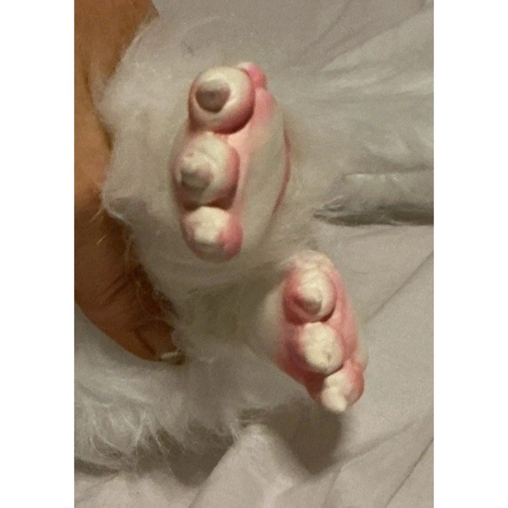 The Never Ending Story Falkor Plush Luck Dragon Baby Mythical Stuffed Animal 31" - Picture 10 of 13